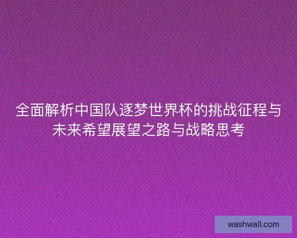 全面解析中国队逐梦世界杯的挑战征程与未来希望展望之路与战略思考